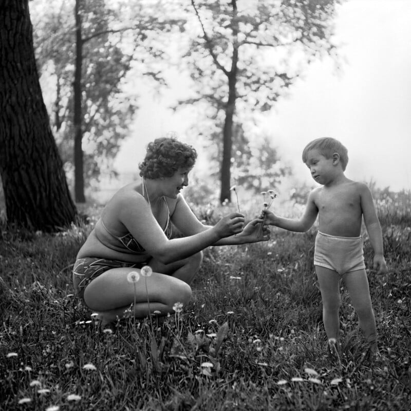A woman in a swimsuit kneels in the grass, smiling as she hands a dandelion to a young boy in underwear. They are surrounded by trees and wildflowers on a sunny day.