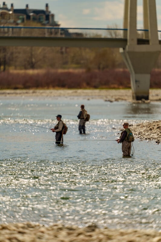 Three people in waders stand in a river fly fishing, with a bridge in the background and sparkling sunlight reflecting off the water.