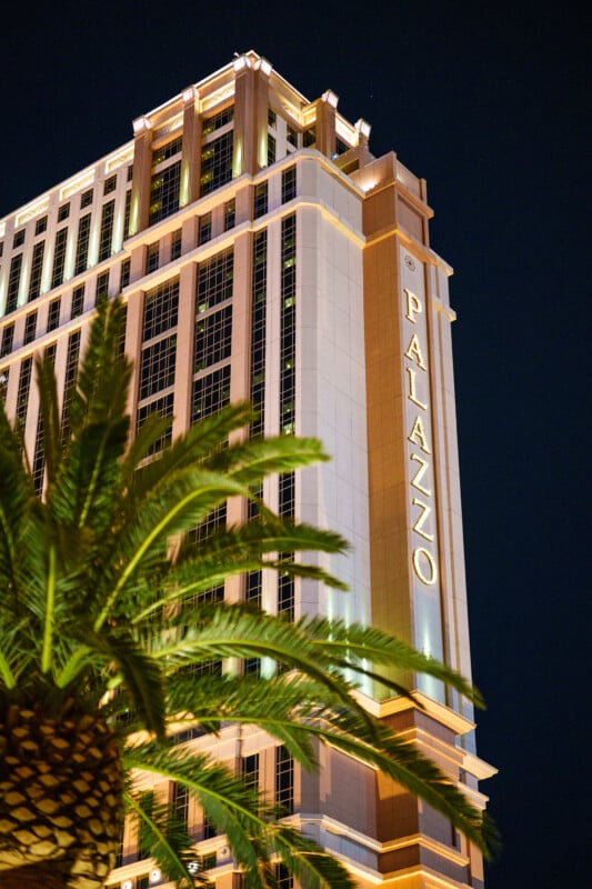 A nighttime view of the Palazzo hotel tower in Las Vegas, illuminated with gold lighting, with a palm tree in the foreground.