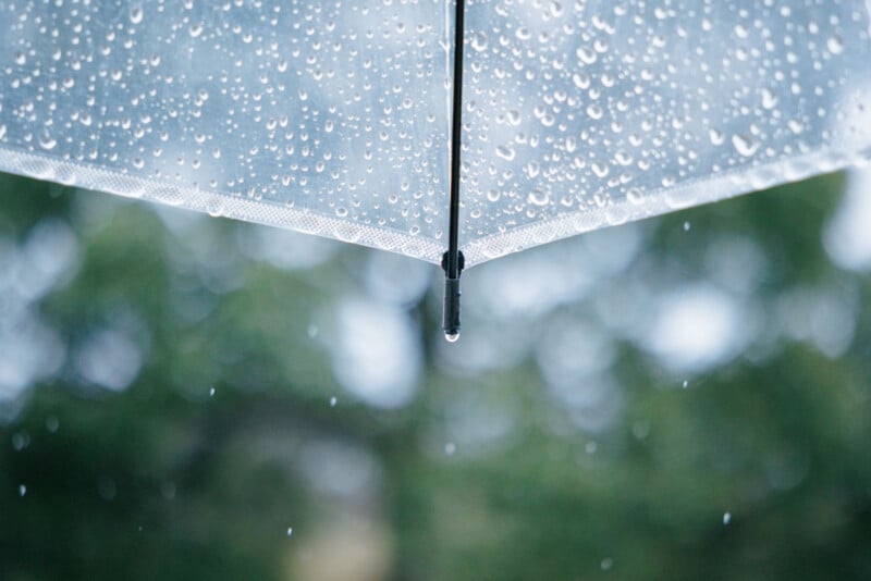 A close-up of a transparent umbrella covered with raindrops, with a drop of water hanging from the tip. The background is blurred green foliage, creating a calm, rainy day atmosphere.