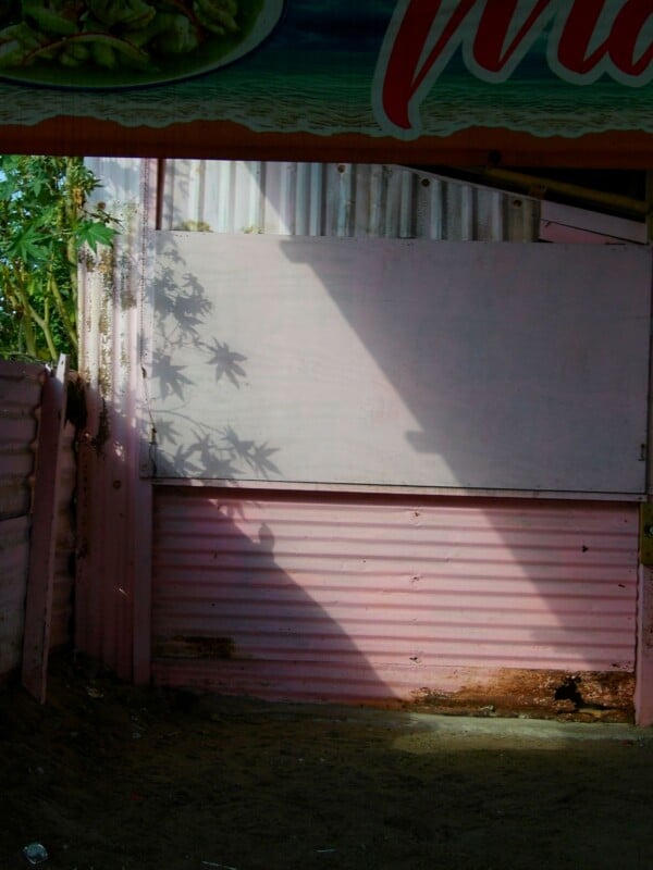 A closed pink metal food stall with sunlight casting tree leaf shadows and diagonal light on the wall. Part of a food sign and some green plants are visible above and to the left.