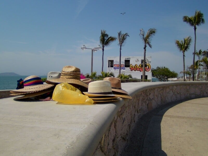 Several hats and a yellow plastic bag rest on a stone wall by the seaside. Palm trees, graffiti on a wall, and a clear blue sky are visible in the background.