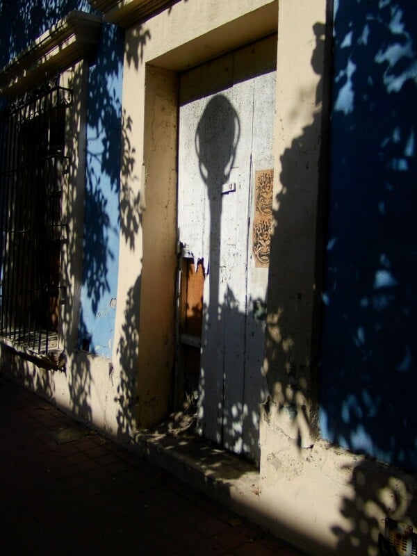 A weathered, pale blue door is partially in shadow, with dappled sunlight and the distinct shadow of a streetlamp cast on it; leafy tree shadows cover the door and surrounding wall.
