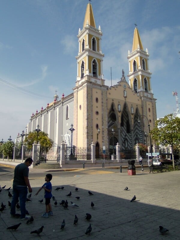 A man and a boy stand in a plaza feeding pigeons in front of a large church with two tall yellow and white towers under a blue sky.
