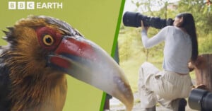 Close-up of a bird with a large red beak on the left; on the right, a person kneels outdoors, pointing a large camera lens toward wildlife. BBC Earth logo appears in the top left corner.