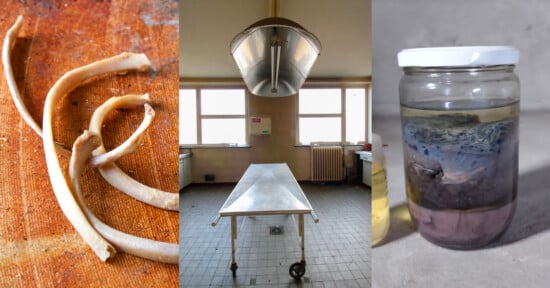 Morgue photographer