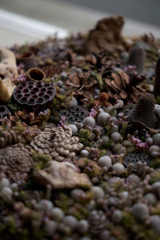 A close-up of a textured arrangement featuring pinecones, lotus seed pods, small round pebbles, moss, and dried flowers in earthy tones, creating a natural, woodland scene.