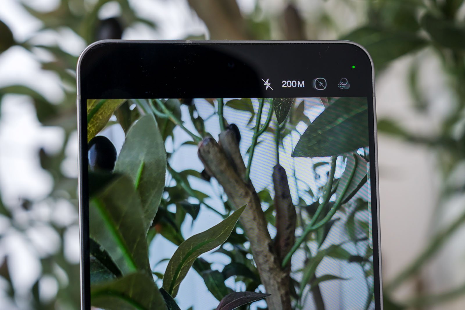 A smartphone camera screen displays a close-up of green leaves and branches, with the actual leaves and branches in the background. The camera interface shows settings like flash and 200M resolution.