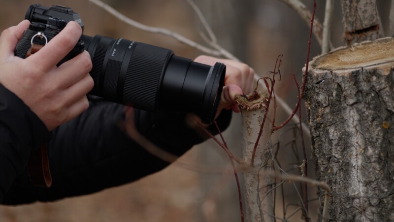 A person holding a camera with a large lens, closely photographing the cut end of a tree branch in a forest setting. The background is blurred, emphasizing the focus on the camera and branch.