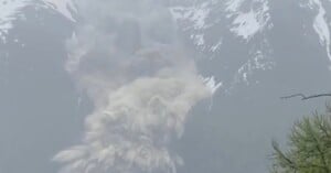 A large avalanche cascades down a snow-covered mountain, sending clouds of snow and debris billowing into the air, with trees visible in the foreground.
